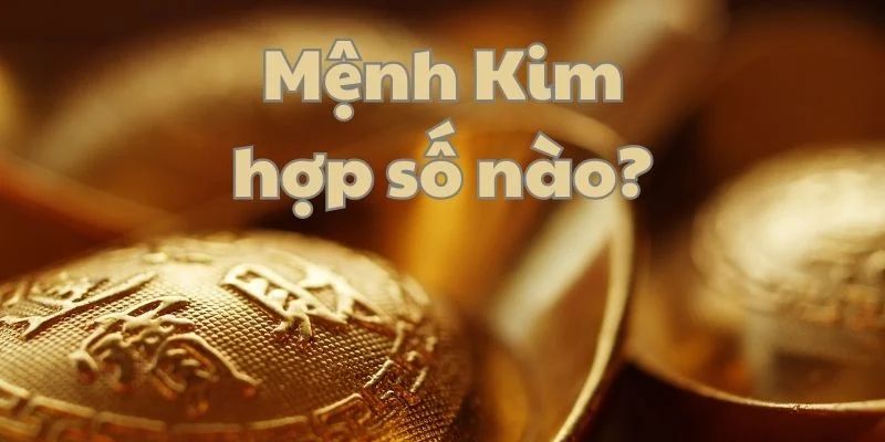Hợp và khắc mạng