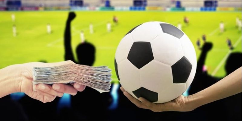 Kèo 3.5/4 phân loại theo hình thức châu Á